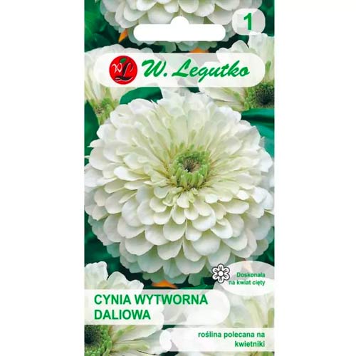 Gvaizdūnės rafinuotosios Polar Bear Legutko interface.art nuotrauka 1 Gvaizdūnės rafinuotosios Polar Bear Legutko interface.image 1 interface.art 78540