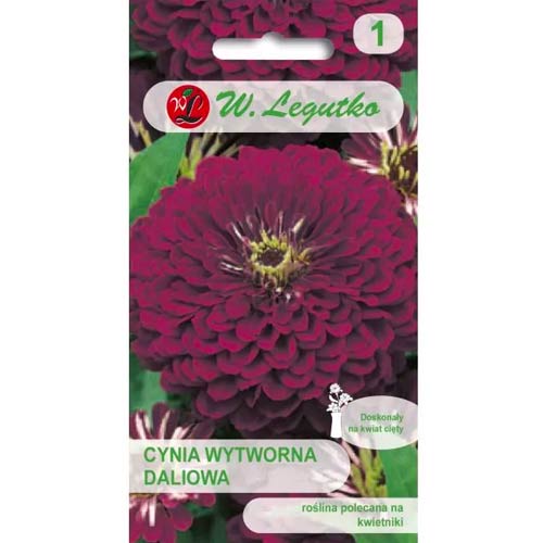 Gvaizdūnės rafinuotosios Violet Queen Legutko interface.image 1 interface.art 69577