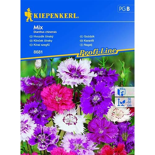 Gvazdikai, mišinys Kiepenkerl interface.image 1 interface.art 96562