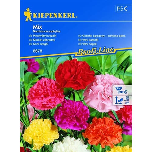 Tikrieji gvazdikai, mišinys interface.image 1 interface.art 96527