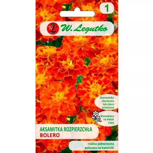 Gvazdikinis serentis Boleroas Legutko interface.art nuotrauka 1 Gvazdikinis serentis Boleroas Legutko interface.image 1 interface.art 69549