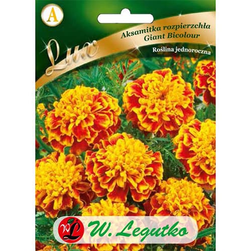 Gvazdikinis serentis Giant Bicolour interface.image 1 interface.art 78650