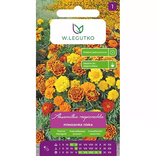 Gvazdikinis serentis, mišinys interface.image 1 interface.art 69551