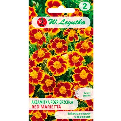 Gvazdikinis serentis Red Marietta Legutko interface.art nuotrauka 1 Gvazdikinis serentis Red Marietta Legutko interface.image 1 interface.art 69553