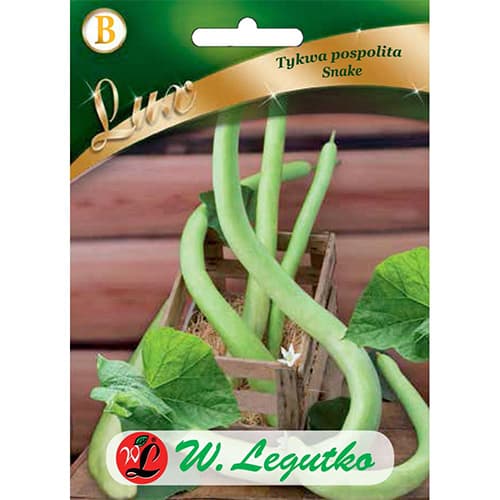 Gyvatės moliūgas interface.art nuotrauka 1 Gyvatės moliūgas interface.image 1 interface.art 86761