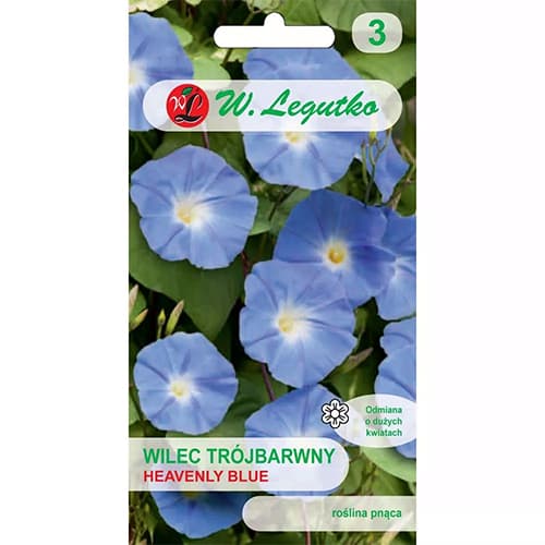 Heavenly Blue Gentianthus (Dangiškai Mėlyna) interface.image 1 interface.art 78595