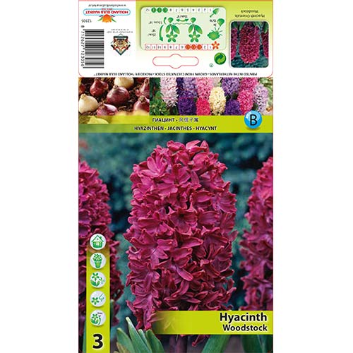 Hiacintas Woodstock interface.image 1 interface.art 67584