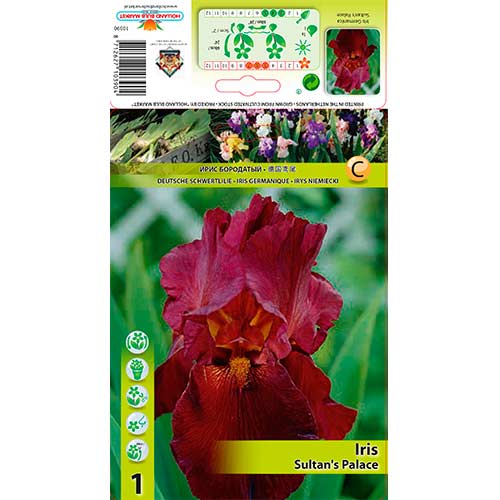 Irisas barzdotasis Sultan's Palace interface.image 1 interface.art 76292