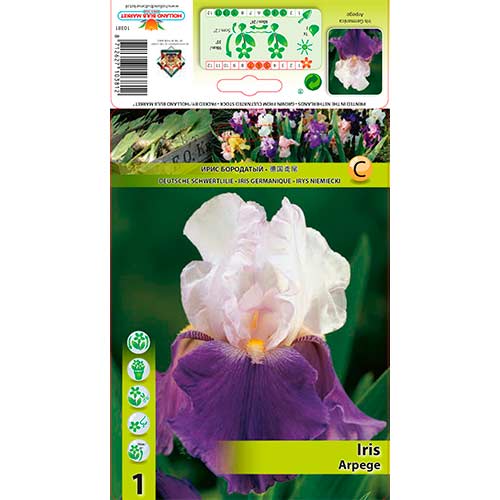 Irisas (Iris) Arpege interface.art nuotrauka 1 Irisas (Iris) Arpege interface.image 1 interface.art 70419