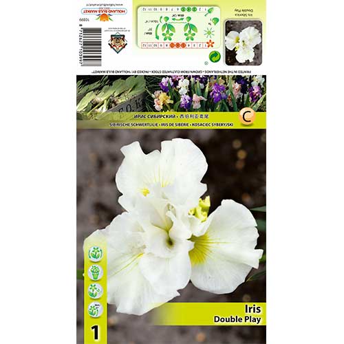 Irisas (Iris) Double Play interface.image 1 interface.art 70420