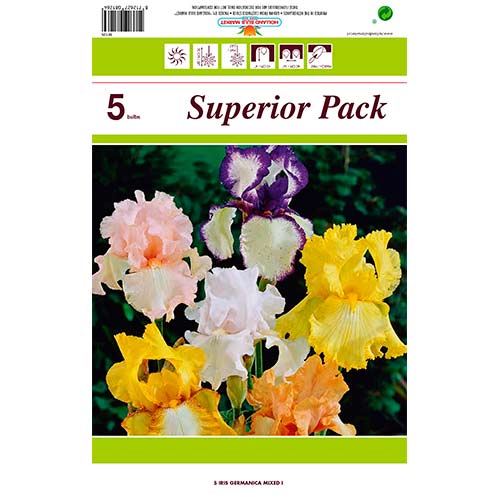 Irisas (Iris) Germanica Mixed interface.image 1 interface.art 76464