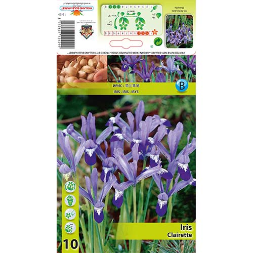Irisas tinklinis Clairette interface.art nuotrauka 1 Irisas tinklinis Clairette interface.image 1 interface.art 67606