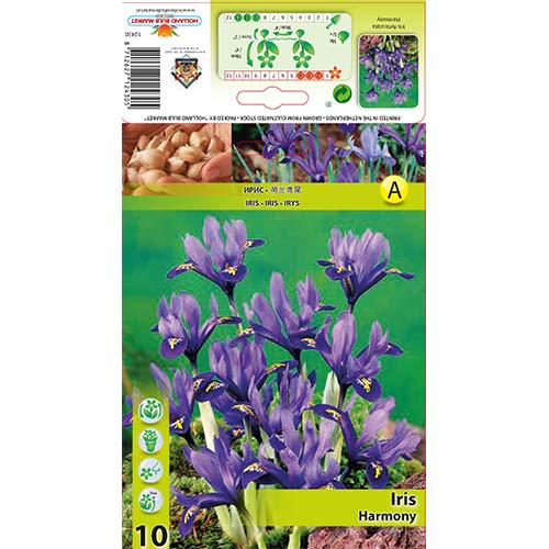 Irisas tinklinis Harmony interface.image 1 interface.art 67381