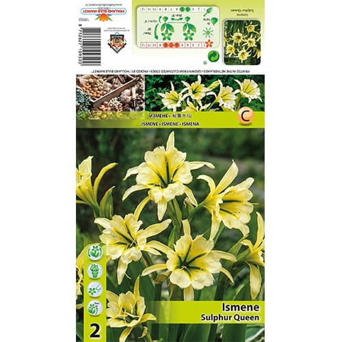 Ismenė Sulphur Queen interface.image 1 interface.art 77829