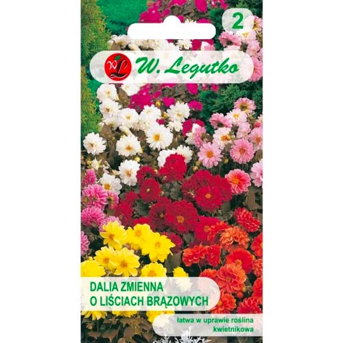 Jurginai Diablo, mišinys Legutko interface.image 1 interface.art 69579