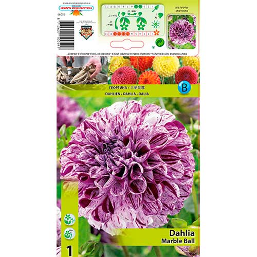 Jurginas (Dahlia) Marble Ball interface.image 1 interface.art 76215