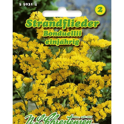 Jūros levandos Bonduellii interface.image 1 interface.art 86164