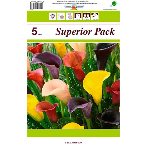 Kalija (Calla) Mixed interface.image 1 interface.art 76396