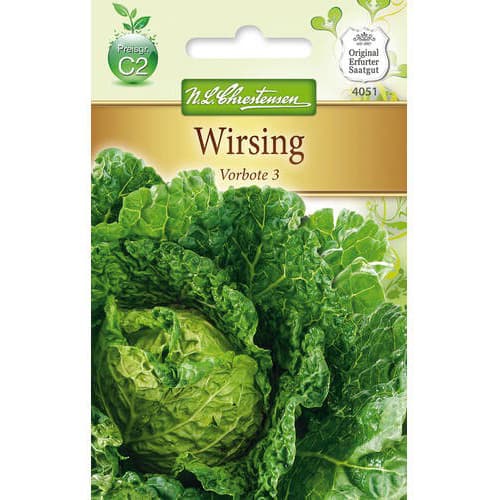 Kopūstai Vorbote 3 interface.art nuotrauka 1 Kopūstai Vorbote 3 interface.image 1 interface.art 78727