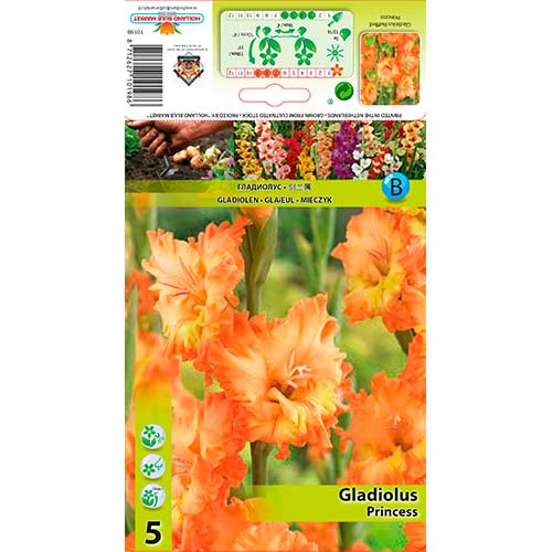 Kardelis (Gladiolus) Princess interface.image 1 interface.art 76252