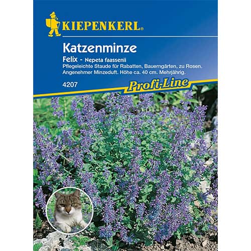 Katžolės Felix interface.image 1 interface.art 96548