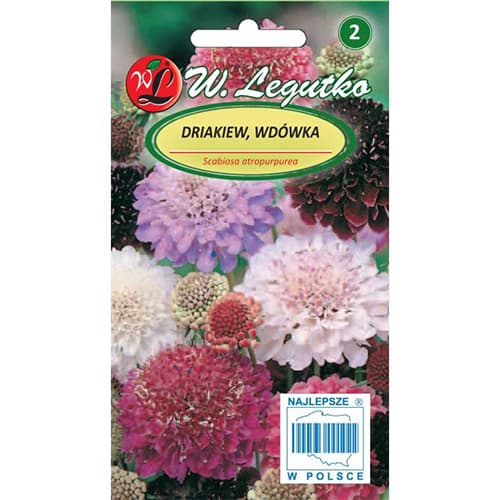 Kaukazo moliūgai, mišinys interface.art nuotrauka 1 Kaukazo moliūgai, mišinys interface.image 1 interface.art 87856