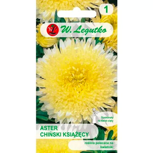 Kinų adatinė astra geltona Legutko interface.art nuotrauka 1 Kinų adatinė astra geltona Legutko interface.image 1 interface.art 78513