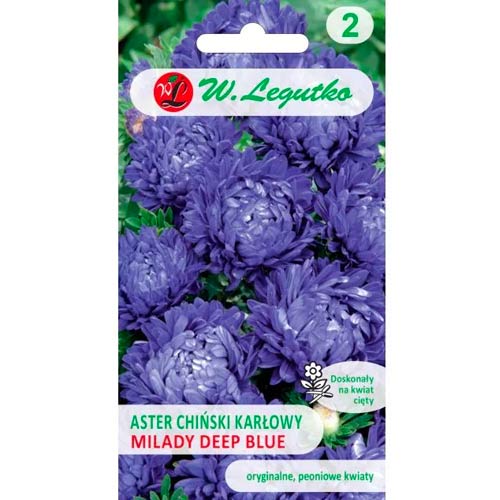 Kinų adatinė astra Milady Deep Blue Legutko interface.image 1 interface.art 69557