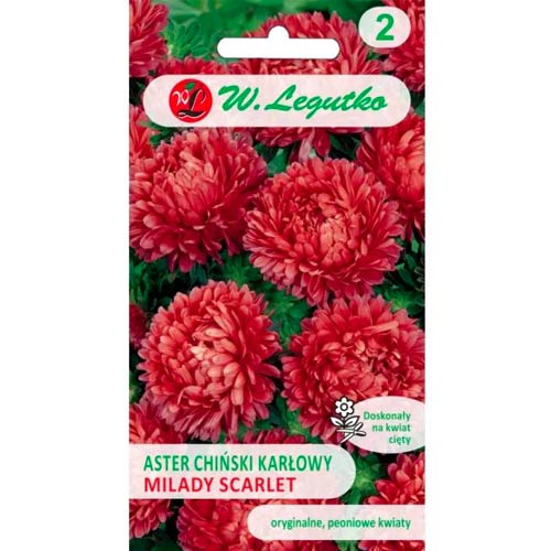 Kinų adatinė astra Milady Scarlet Legutko interface.image 1 interface.art 69559