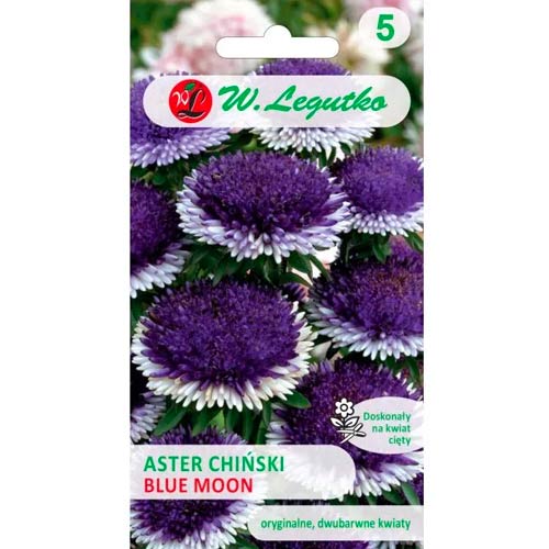 Kinų astra Liliput Blue Moon Legutko interface.image 1 interface.art 69561