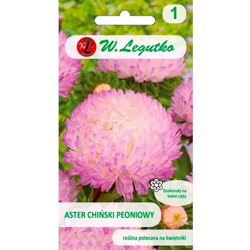 Kinų bijūnų asteros baltas-rožinis Legutko interface.image 1 interface.art 78523