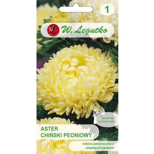 Kinų bijūnų asteros geltona Legutko interface.image 1 interface.art 78521