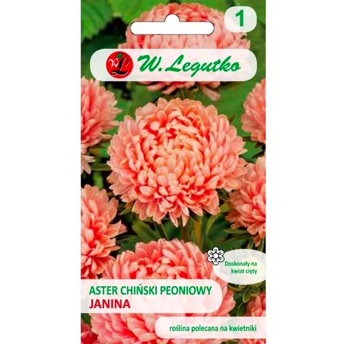 Kinų bijūnų asteros Janina lašiša Legutko interface.art nuotrauka 1 Kinų bijūnų asteros Janina lašiša Legutko interface.image 1 interface.art 78522