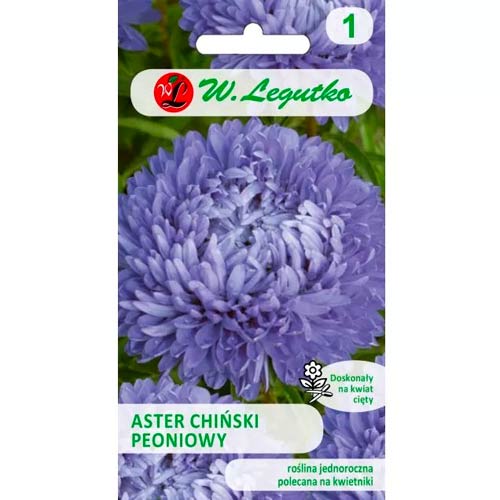 Kinų bijūnų asteros mėlyna Legutko interface.art nuotrauka 1 Kinų bijūnų asteros mėlyna Legutko interface.image 1 interface.art 78527