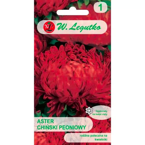 Kinų bijūnų asteros raudona Legutko interface.image 1 interface.art 78525