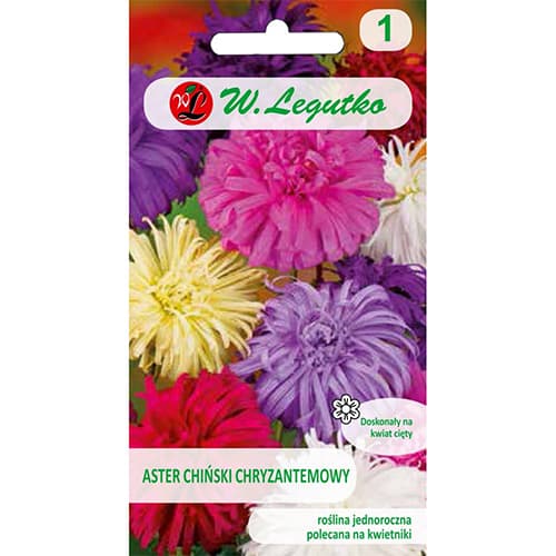 Kinų chrizantemos astros, mišinys interface.image 1 interface.art 78511