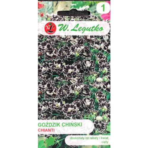 Kinų gvazdikai Chianti Legutko interface.image 1 interface.art 69592