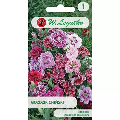 Kinų gvazdikai, mišinys interface.image 1 interface.art 78564