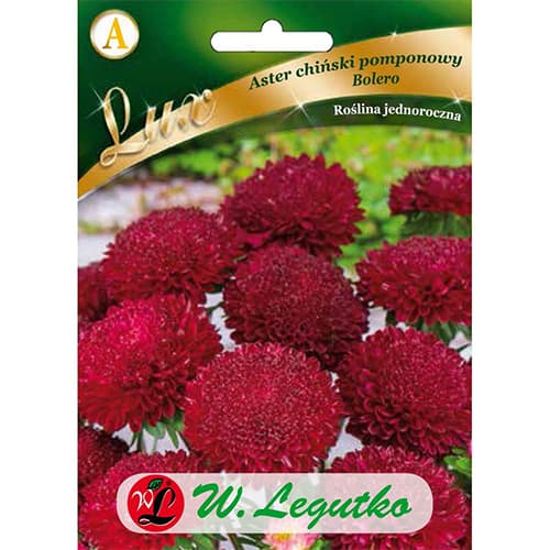 Kinų pom-pom aster Bolero interface.image 1 interface.art 86744