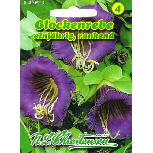 Kobėjos Chrestensen interface.art nuotrauka 1 Kobėjos Chrestensen interface.image 1 interface.art 78982