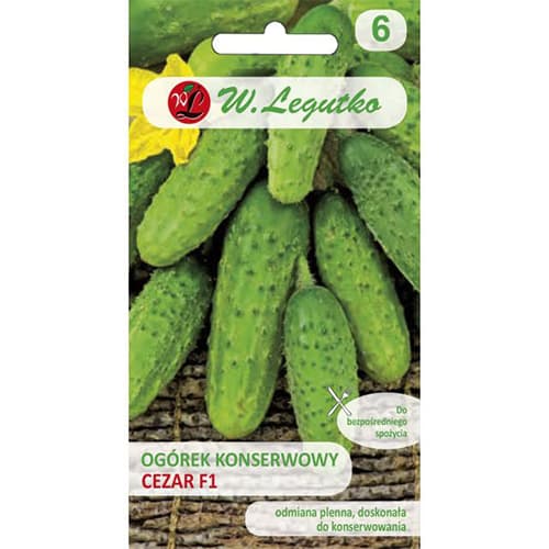 Konservacinis agurkas Caesar F1 interface.image 1 interface.art 86874