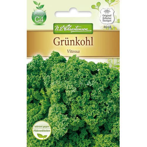 Kopūstai Vitessa interface.image 1 interface.art 78717