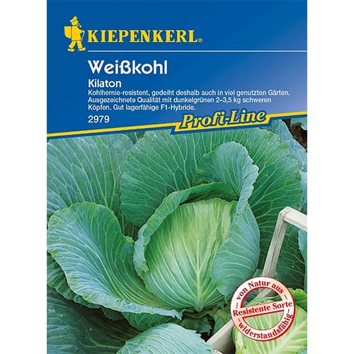 Kopūsta baltieji gūžiniai Kilaton F1 interface.image 1 interface.art 86555