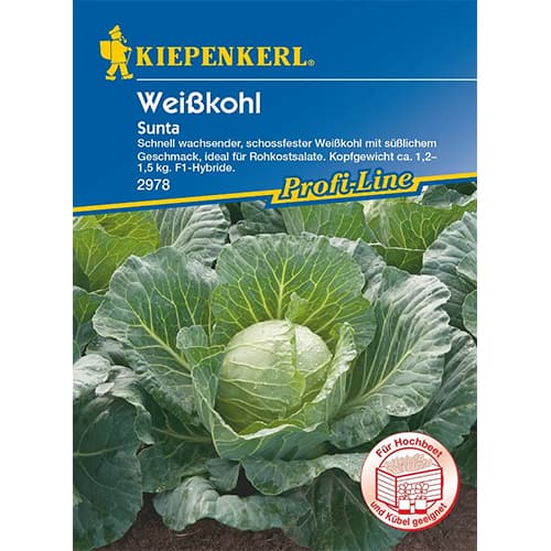 Kopūsta baltieji gūžiniai Sunta F1 interface.image 1 interface.art 87297