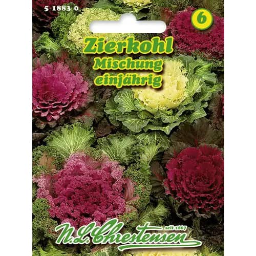 Kopūstai dekoratyviniai, mišinys interface.image 1 interface.art 96404