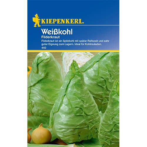 Kopūsta baltieji gūžiniai Filderkraut interface.image 1 interface.art 77501