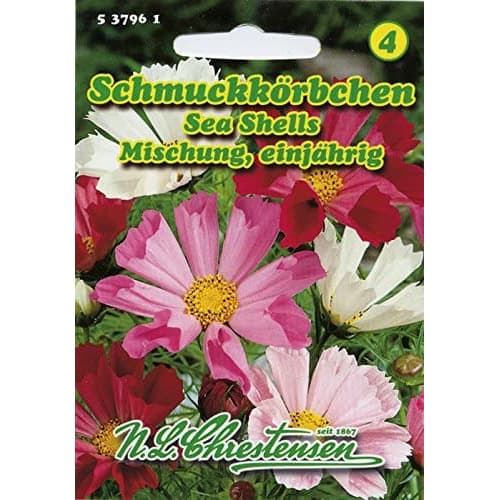 Kosmėjos Sea Shells Mischung interface.image 1 interface.art 87805