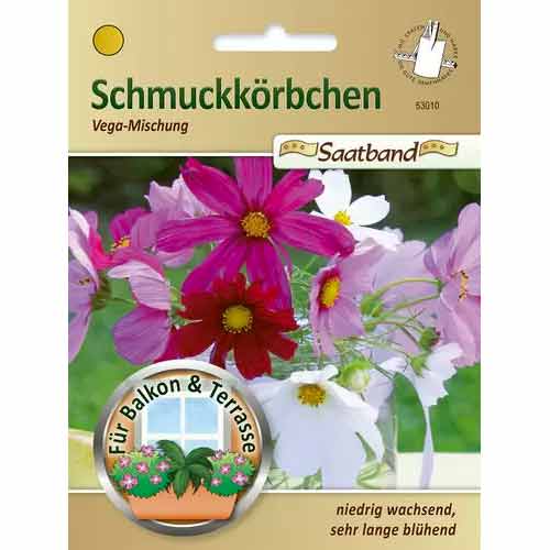 Kosmėjos Vega, mišinys Chrestensen interface.image 1 interface.art 50027