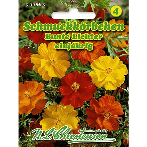 Kosmėjos Bunte Lichter interface.art nuotrauka 1 Kosmėjos Bunte Lichter interface.image 1 interface.art 86143