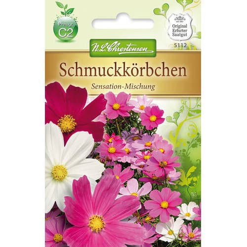 Kosmėjos Sensation, mišinys Chrestensen interface.image 1 interface.art 78906